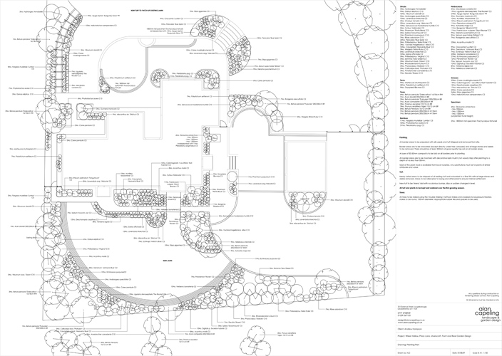 plan