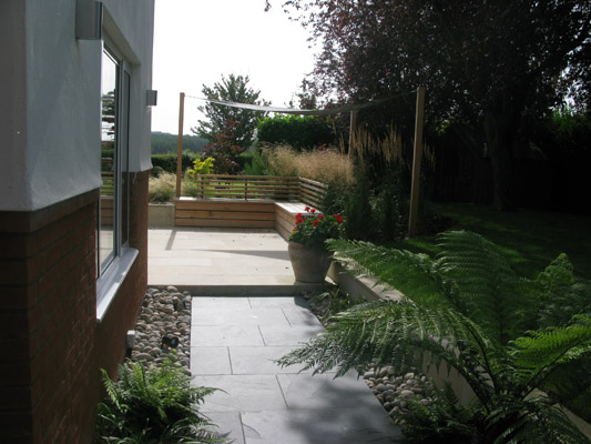 Tree Ferns and Shade Sail