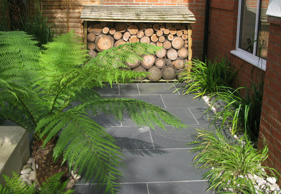 Tree Fern and Log Store